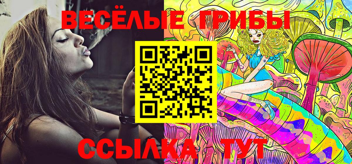 Галлюциногенные грибы Psilocybe Ивантеевка