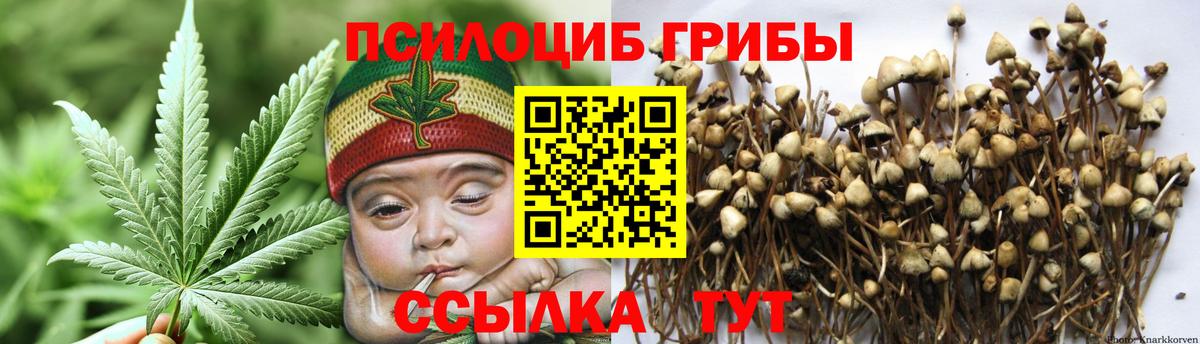 Ивантеевка  Галлюциногенные грибы мухоморы  что такое   Псилоцибиновые грибы прущие грибы  Вход с VPN 